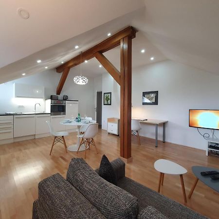 Charming Apartment Mila In Privat House With Free Parking Lublaň Exteriér fotografie