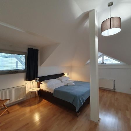 Charming Apartment Mila In Privat House With Free Parking Lublaň Exteriér fotografie