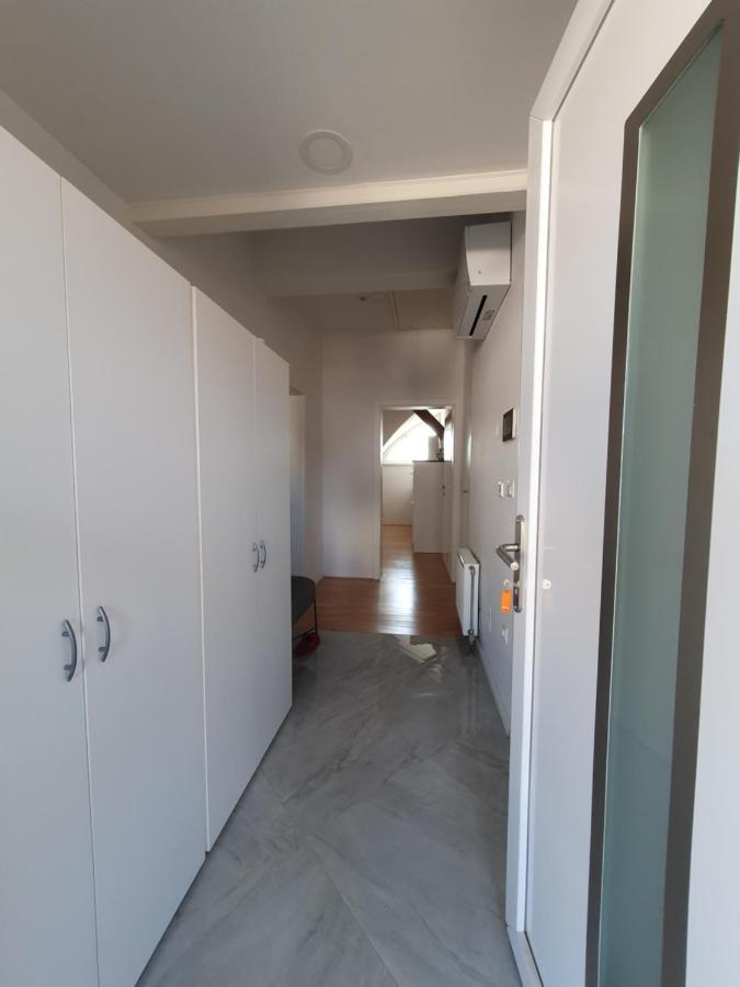 Charming Apartment Mila In Privat House With Free Parking Lublaň Exteriér fotografie