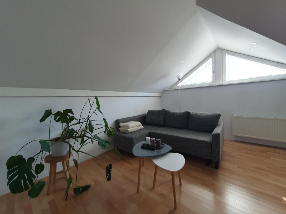 Charming Apartment Mila In Privat House With Free Parking Lublaň Exteriér fotografie