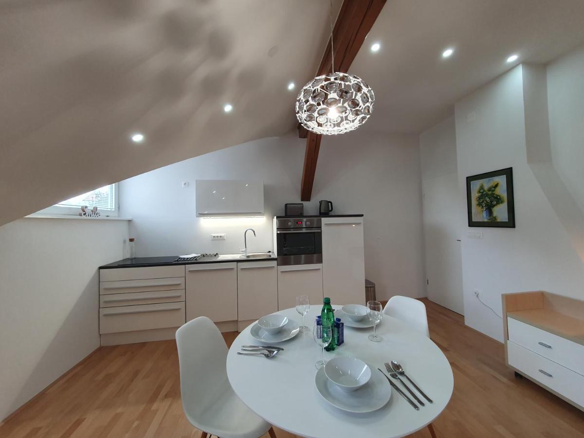 Charming Apartment Mila In Privat House With Free Parking Lublaň Exteriér fotografie
